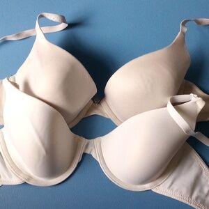 36A bras